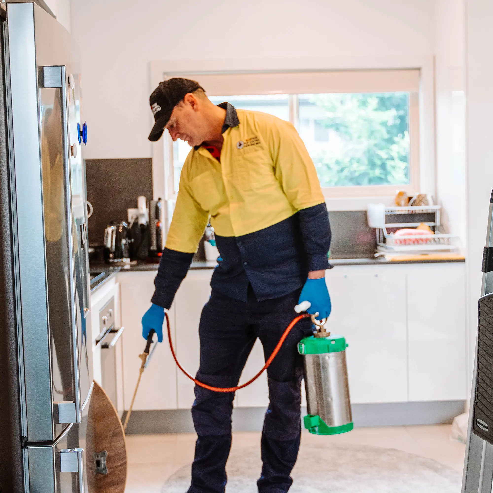 Bug Free technician treating kitchen cupboards and cavities