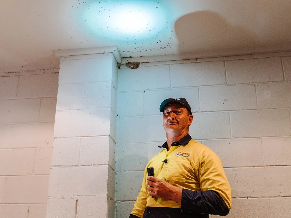 Technician inspecting a wall cavity under torch and UV light